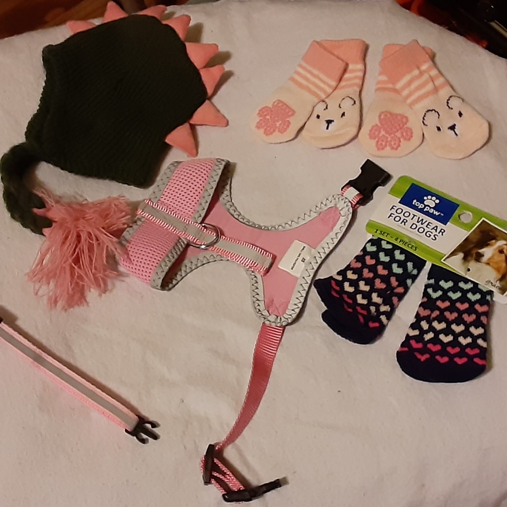 Petsmart doggie bundle